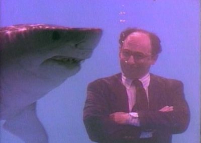 DuPont CANOPY Herbicide TV 2