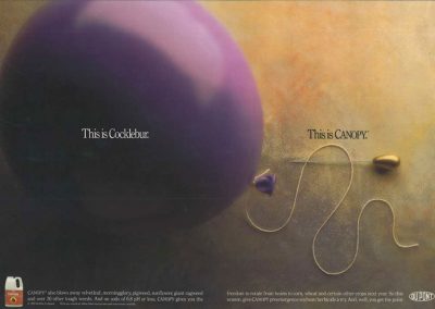 DuPont CANOPY Herbicide Print Ad 1