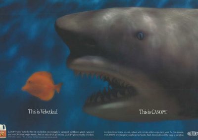 DuPont CANOPY Herbicide Print Ad 2