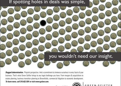 Green_Seifter Print Ad 3