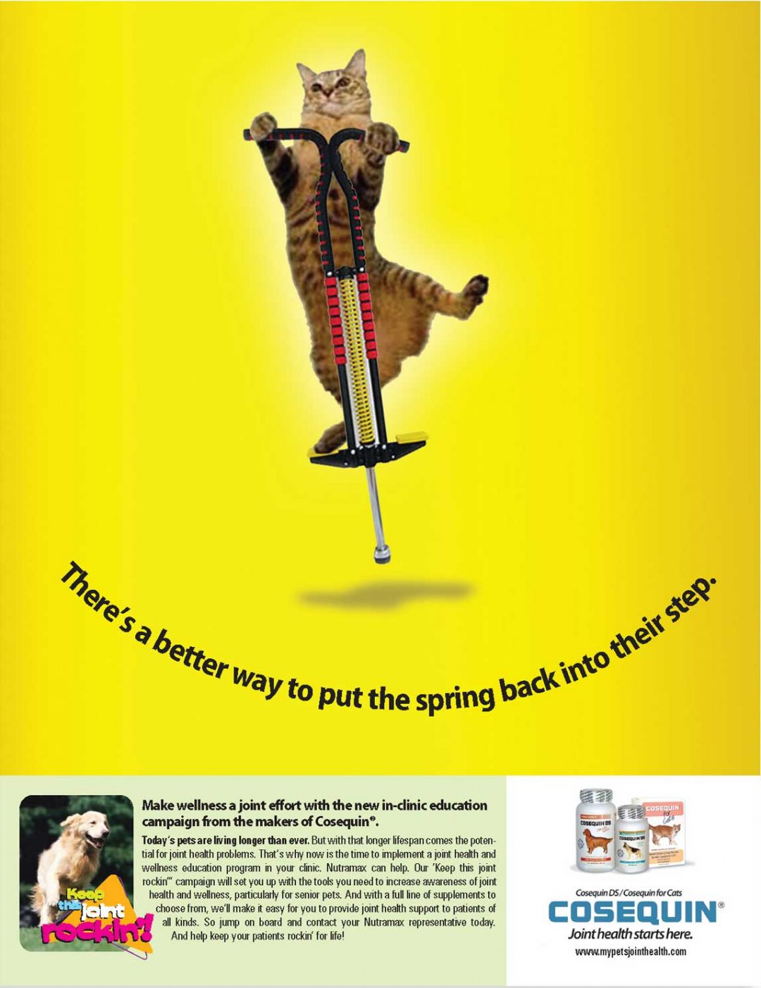 Nutramax Print Ad 3