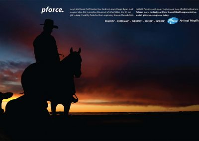 Pfizer Animal Health Branding Ad 3