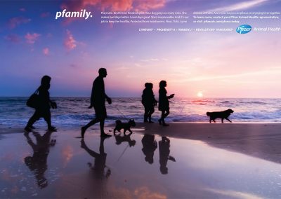 Pfizer Animal Health Branding Ad 1