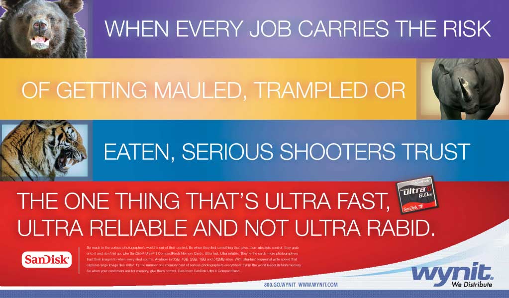 SanDisk Print Ad 4