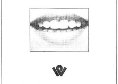 Washington Park Mall Small Space Teaser 2