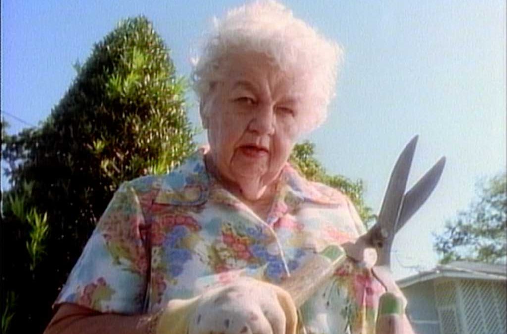 Hechinger 3-Day Sale TV