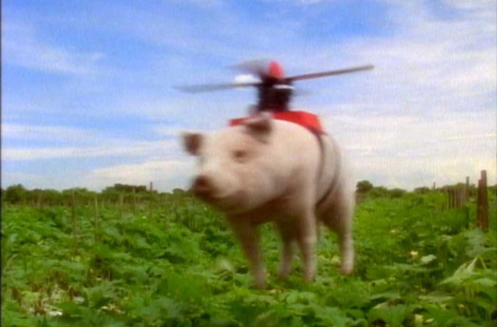 Hechinger Flying Pig TV