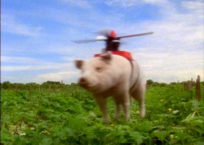 Hechinger Flying Pig TV